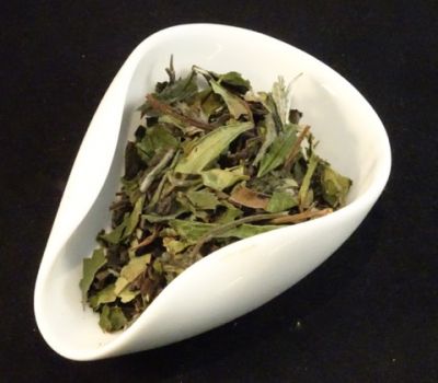 Bai Mu Dan 1st grade